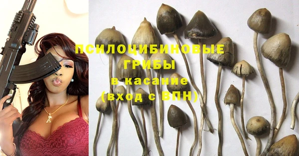 дживик Балабаново
